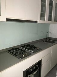 The Inflora (D17), Condominium #517569661